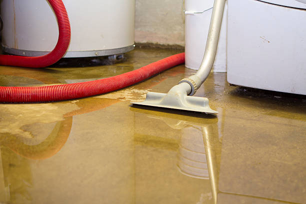 Best Commercial water damage restoration  in Green Park, MO