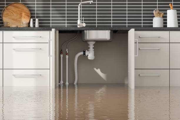 Best Water damage restoration near me  in Green Park, MO